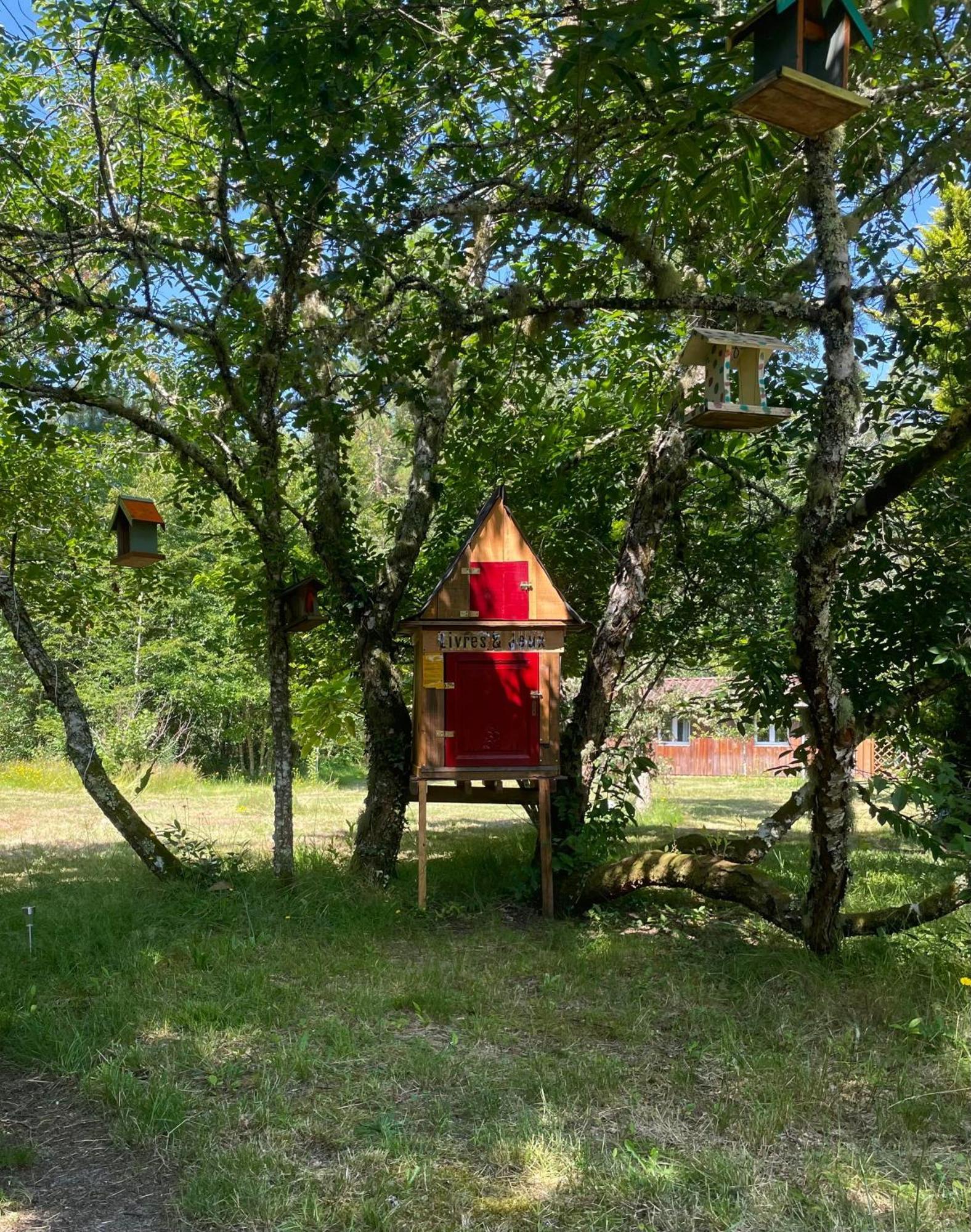 Cabane Au Milieu Des Pins - Domaine Temali لابوير المظهر الخارجي الصورة